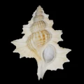 DSC07864.JPG