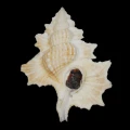 DSC07861.JPG