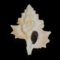 DSC07862.JPG