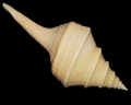 DSC07870.JPG