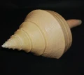 DSC07872.JPG