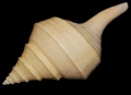 DSC07873.JPG