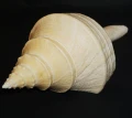 DSC07877.JPG