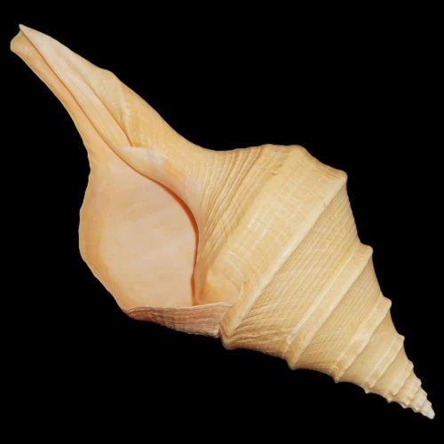 DSC07889.JPG