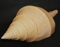 DSC07891.JPG