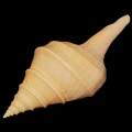 DSC07892.JPG