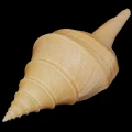 DSC07893.JPG