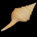 DSC07894.JPG