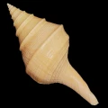 DSC07895.JPG