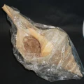 DSC07915.JPG