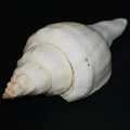DSC07925.JPG