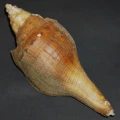 DSC07933.JPG