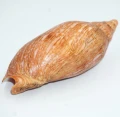 DSC07945.JPG