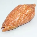 DSC07949.JPG