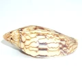 DSC07961.JPG