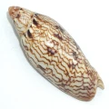 DSC07965.JPG