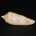 DSC07986.JPG