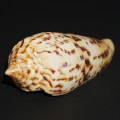 DSC07979.JPG