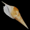 DSC07999.JPG