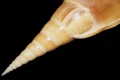 DSC08001.JPG