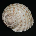 DSC08002.JPG