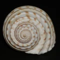 DSC08005.JPG