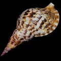 DSC08023.JPG