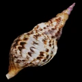DSC08024.JPG