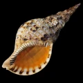 DSC08015.JPG