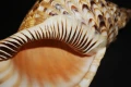 DSC08013.JPG