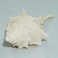 DSC08069.JPG