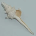 DSC08071.JPG