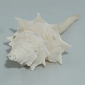DSC08072.JPG