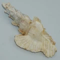 DSC08094.JPG