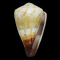 DSC08113.JPG