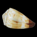 DSC08114.JPG
