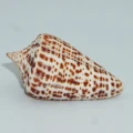 DSC08106.JPG