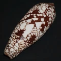 DSC08212.JPG
