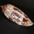 DSC08208.JPG