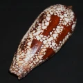 DSC08211.JPG