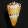 DSC08213.JPG