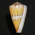 DSC08214.JPG