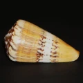 DSC08215.JPG
