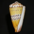 DSC08218.JPG