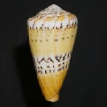 DSC08217.JPG