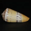 DSC08219.JPG