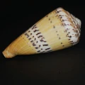 DSC08221.JPG