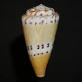 DSC08222.JPG