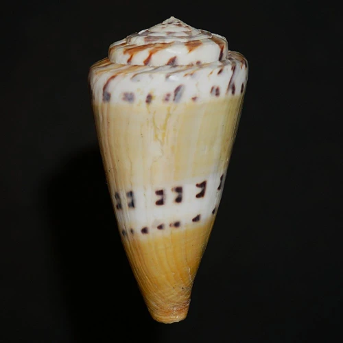DSC08222.JPG