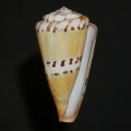 DSC08223.JPG